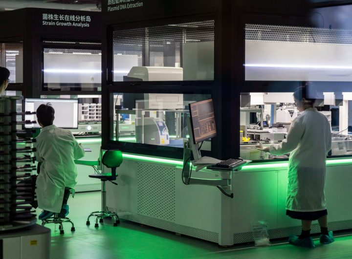 China Biotech Scaling, Korea Automotive Niche