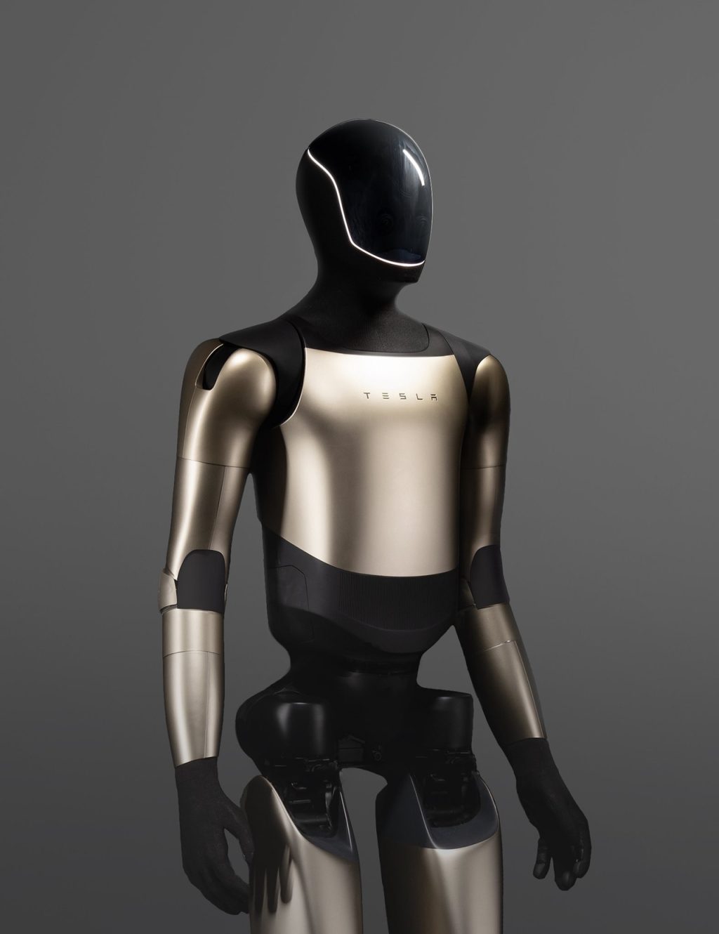 Hyundai Tesla Robot Pricing Comparison: Premium vs Scale