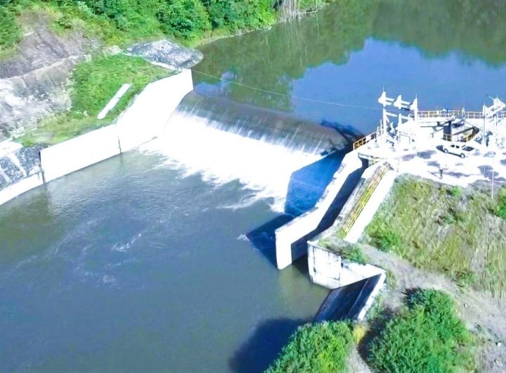 LX International Secures Indonesia Carbon Credit Monetization Approval