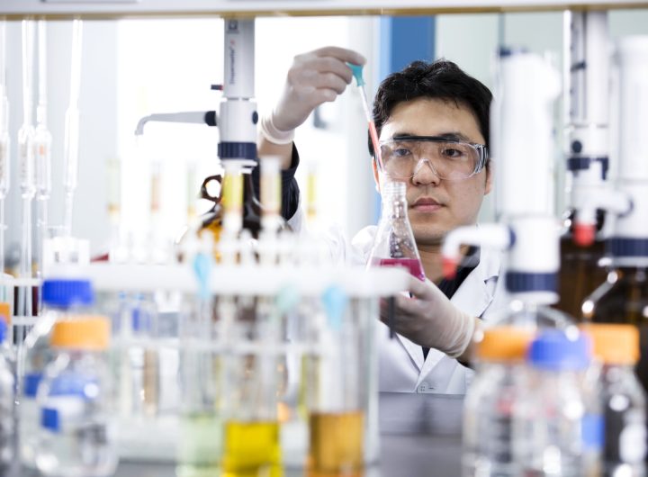 Red Ginseng Hangover Relief Study