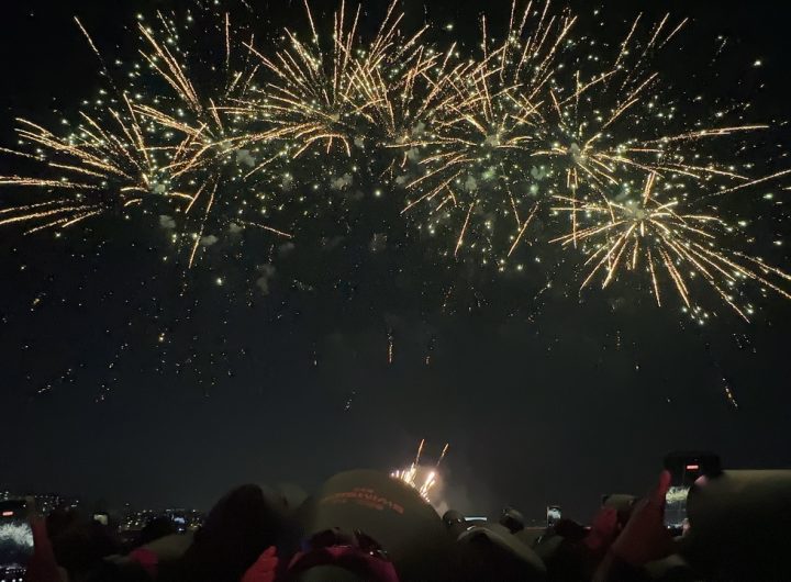 BTS Swim Han River Cruise Experience