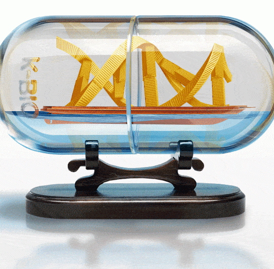 Bio-Health Exports Record High