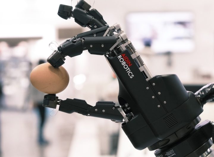 Humanoid Evolution: Hand Dexterity vs. Bipedalism