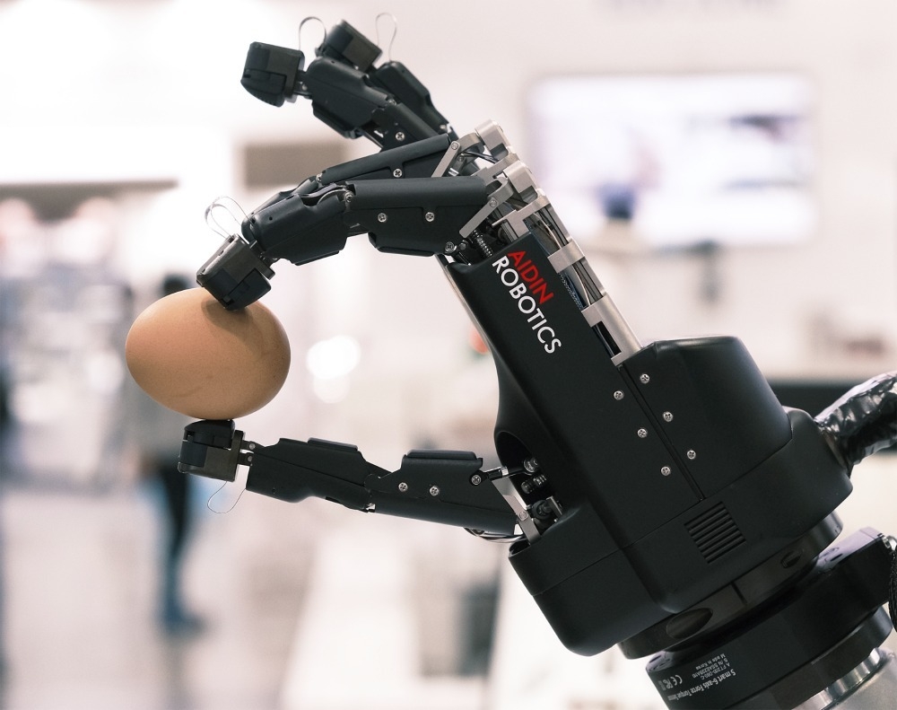 Humanoid Evolution: Hand Dexterity vs. Bipedalism