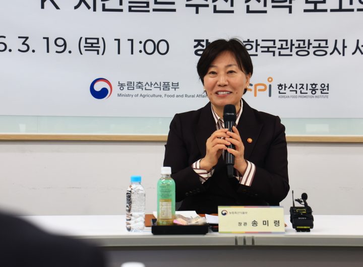 Korean Fried Chicken, Tourism, Korea, Food Tourism, Chicken Belt