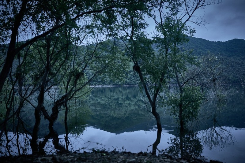 Salmokji: Whispering Water Movie Review - Atmospheric Korean Cinema