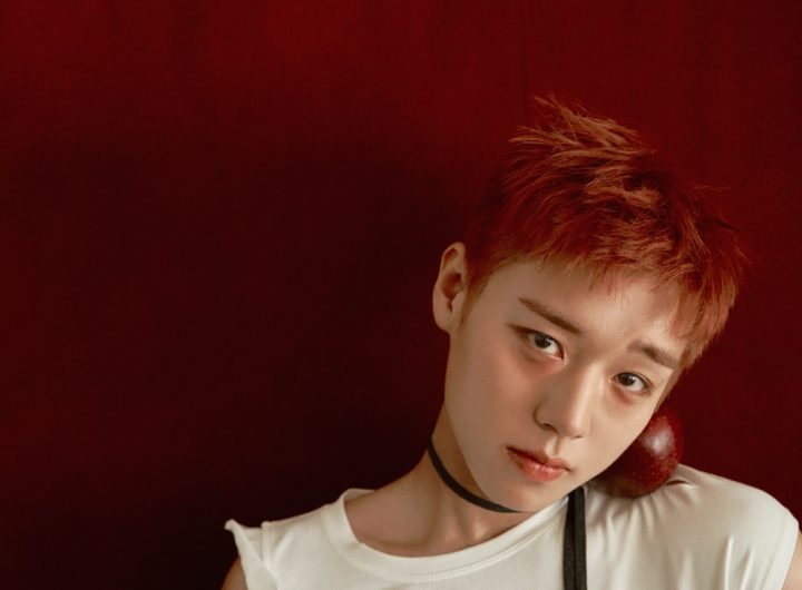 Park Jihoon Returns to Music with 'Re:flect' Single Album After Film Success
