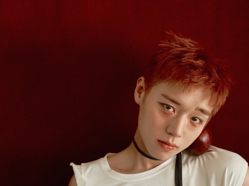 Park Jihoon Returns to Music with 'Re:flect' Single Album After Film Success