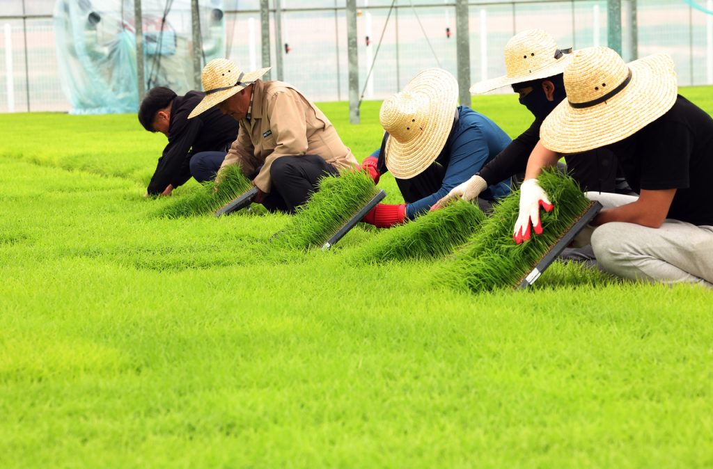 South Korea Recruits Record 93,500 Foreign Seasonal Farm Workers for H1 Agriculture