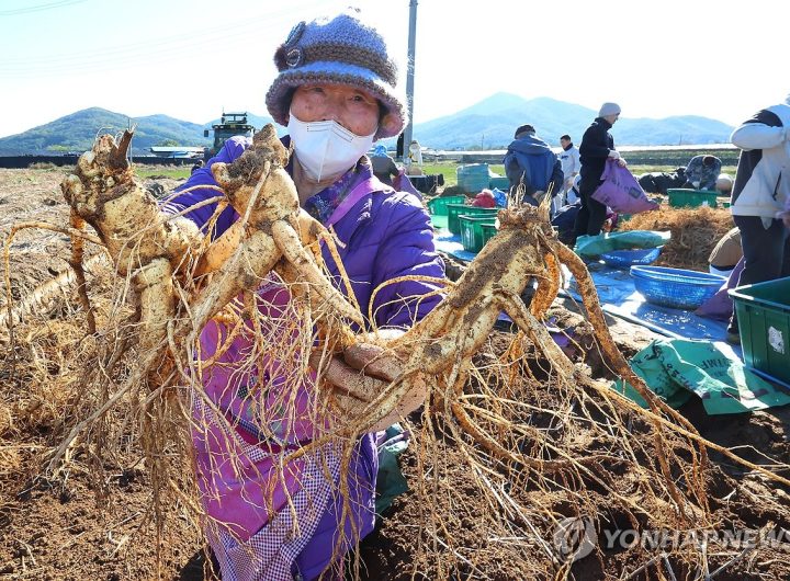 South Korea UNESCO Ginseng Taekwondo Heritage Nomination