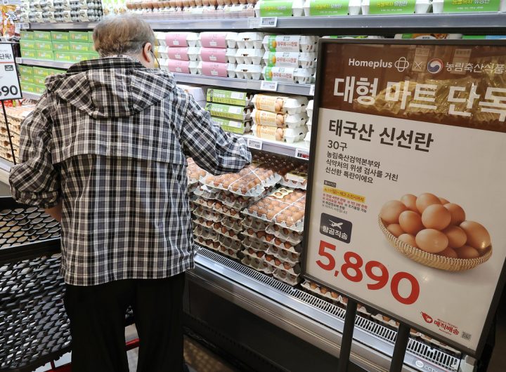 Thai Eggs Debut on Korean Shelves for Supply Stability
