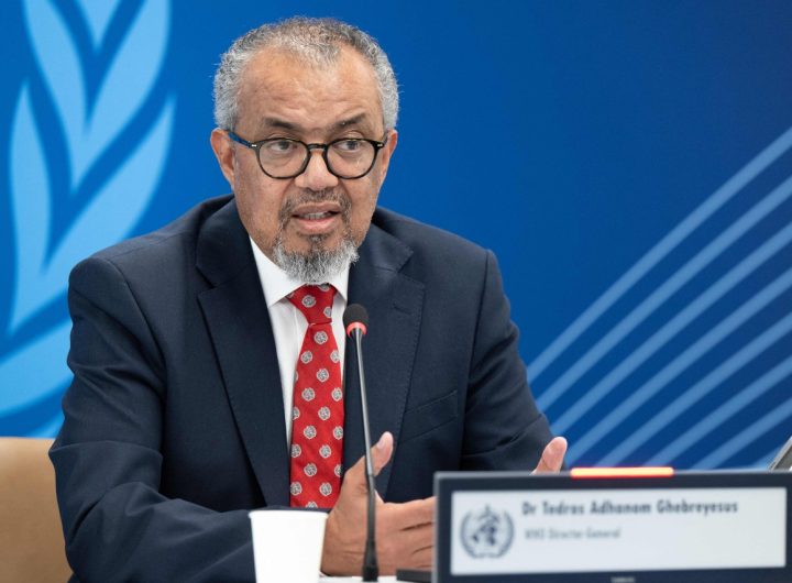 Hantavirus Outbreak Public Risk Low: WHO