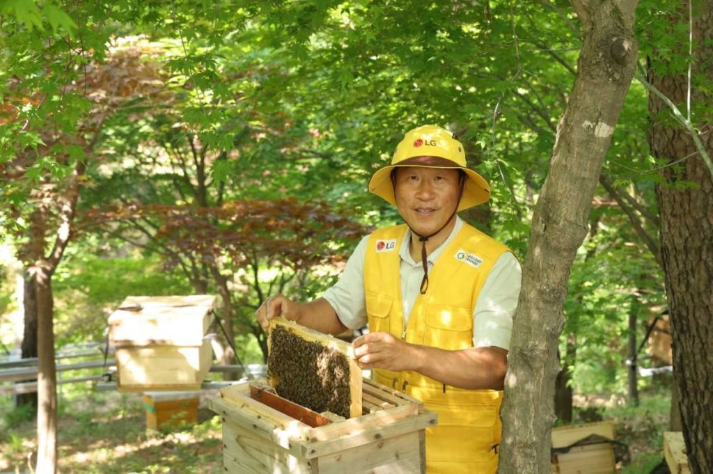 LG Boosts Native Honeybee Population Recovery