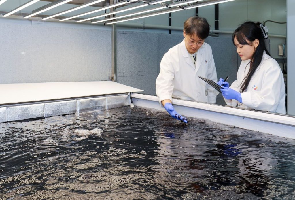 CJ CheilJedang Ventures into Onshore Seaweed Farming