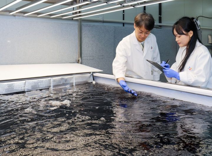 CJ CheilJedang Ventures into Onshore Seaweed Farming